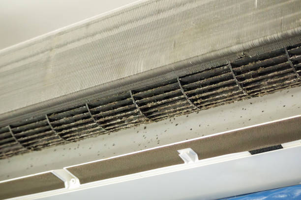 Best HVAC System Cleaning  in North Bend, WA